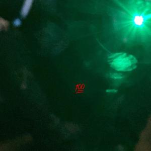 Can't Lie (Explicit)