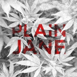 Plain Jane (Dr. Fresch Remix)