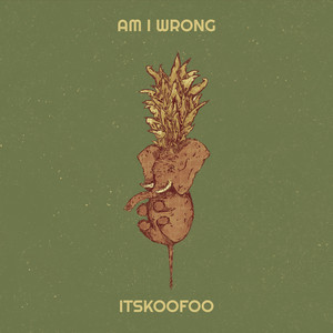 Am I Wrong (Explicit)