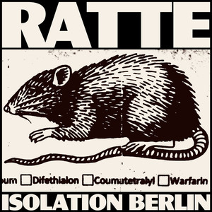 Ratte