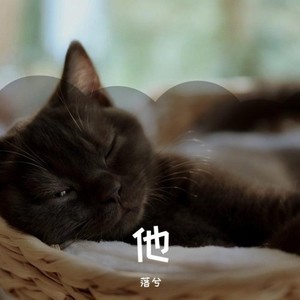我只是在旁观