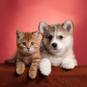 Abrazos En La Quietud