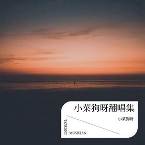 小菜狗呀翻唱集