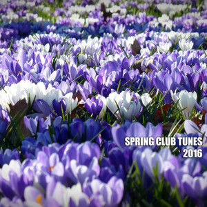 Spring Club Tunes 2016