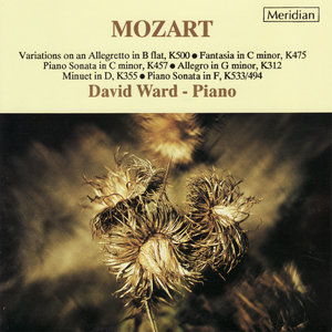 Sonata in C Minor, K. 457: II. Adagio