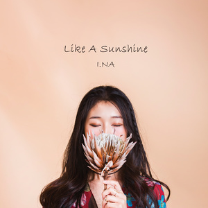 Like A Sunshine (Inst.)