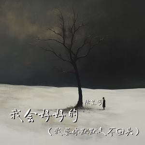 我会好好的(我要你默默走不回头)
