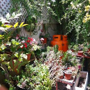 KNOWN WHERE IM AT! (feat. foxxmonger)