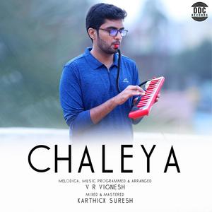 Chaleya (Instrumental)