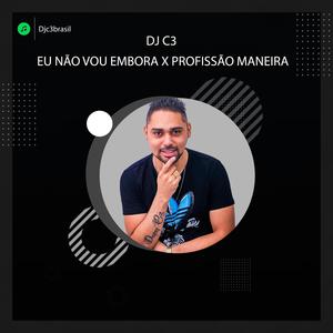 Eu Não Vou Embora x Profissão Maneira (feat. Mc Pitty)