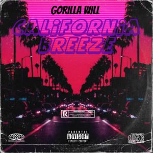 These VVS (Explicit)