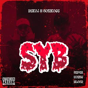 Super Young Blood (feat. Sonikoge) (Explicit)