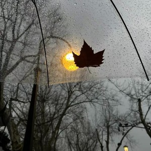 FROM THE START(优雅小曲)