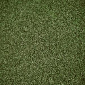 grass (Explicit)