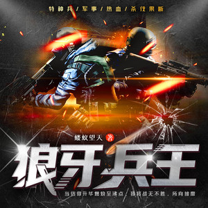 守望夜空_次元口袋 - 狼牙兵王-第345集 爵级大十字勋章