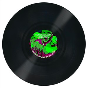 Lights in the Darkness