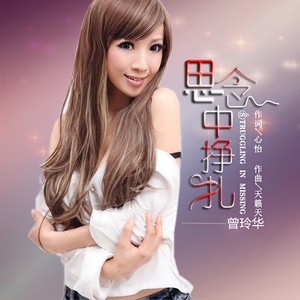 思念中挣扎 (DJ版)