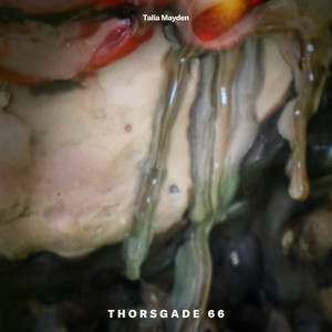 Thorsgade 66