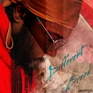 Want It All (feat. PRM) (Explicit)