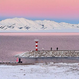 这是玫瑰大盗送你的礼物