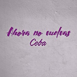 Ahora No Vuelvas