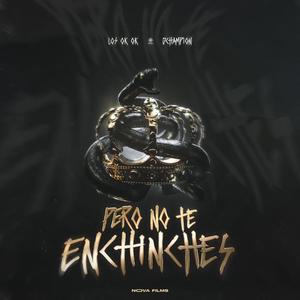 No te enchinches (feat. DChampion & Los Ok Ok) (Explicit)