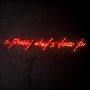 I Really Wish I Hated You