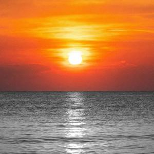 You Don't Get To Choose (feat. Silver Bella)