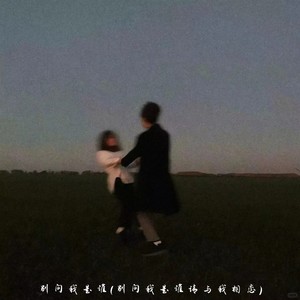 别问我是谁（别问我是谁请与我相恋）