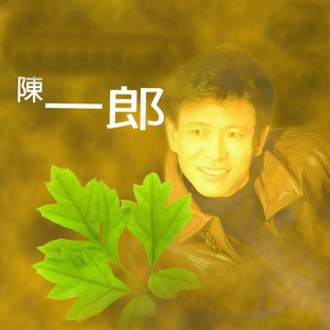 难忘的爱人封面