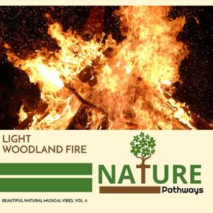 Light Woodland Fire - Beautiful Natural Musical Vibes, Vol. 6