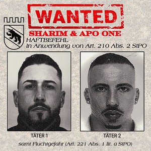 Wanted (Explicit)