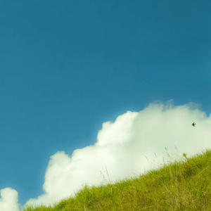 ROMANCE IN THE AIR (Explicit)