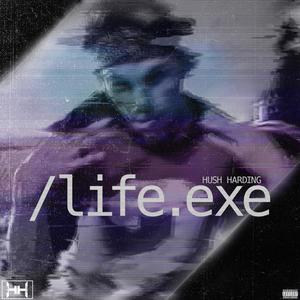 Life.Exe (Explicit)