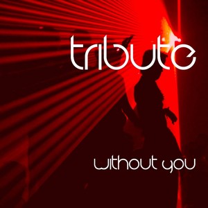 Without You (David Guetta feat. Usher Cover) - Single