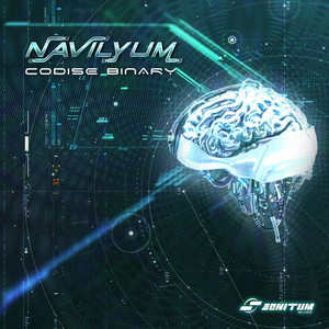 Codise (Original Mix)