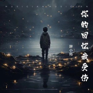 你的回忆我受伤 (伴奏)