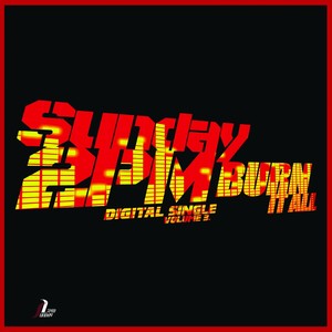 Burn It All [Digital Single]