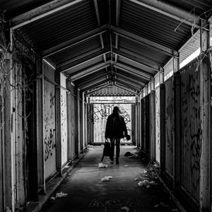 ZZZ (2022) (Explicit)