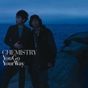 You Go Your Way