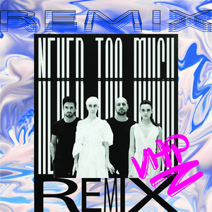 Never Too Much (Remixes)