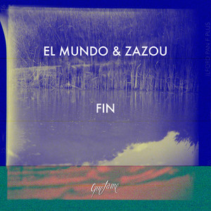 Fin