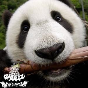 PANDA (feat. $KULLz) (Explicit)