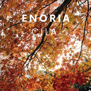 Enoria