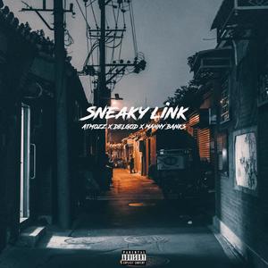 Sneaky Link (Explicit)