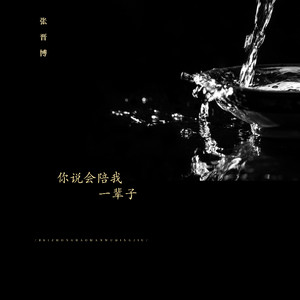 你说会陪我一辈子 (动感版)