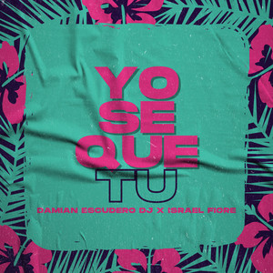 Yo Se Que Tu (Intro Mashup) (Remix)