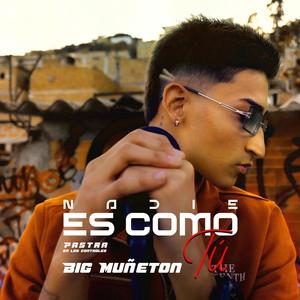 Nadie Es Como Tú (feat. PastraEnLosControles)