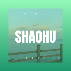 常伟祺 - 不渝 (Remix)