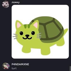turt (feat. LomQ) (Explicit)